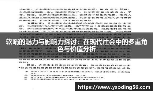 软哨的魅力与影响力探讨：在现代社会中的多重角色与价值分析