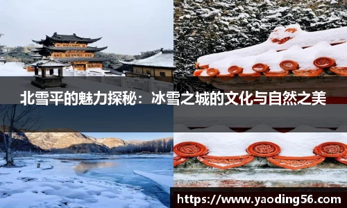 北雪平的魅力探秘：冰雪之城的文化与自然之美