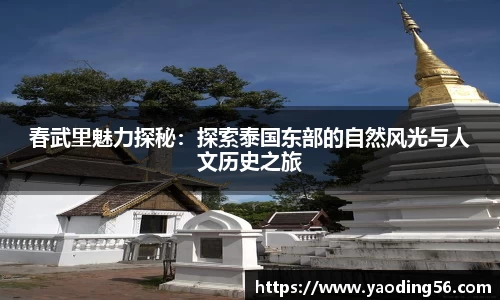 天美娱乐官网