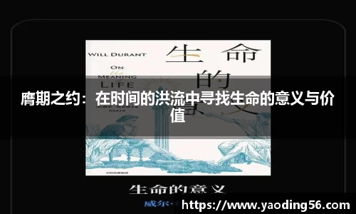天美娱乐