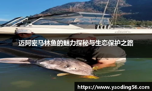 天美娱乐官网